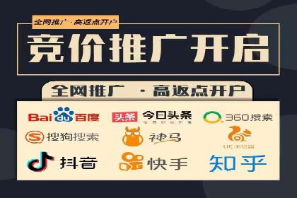 经典案例：专业SEM托管如何实现ROI最大化